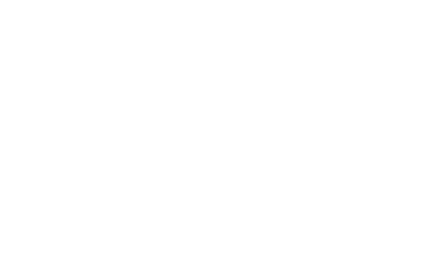 Level Playing Field